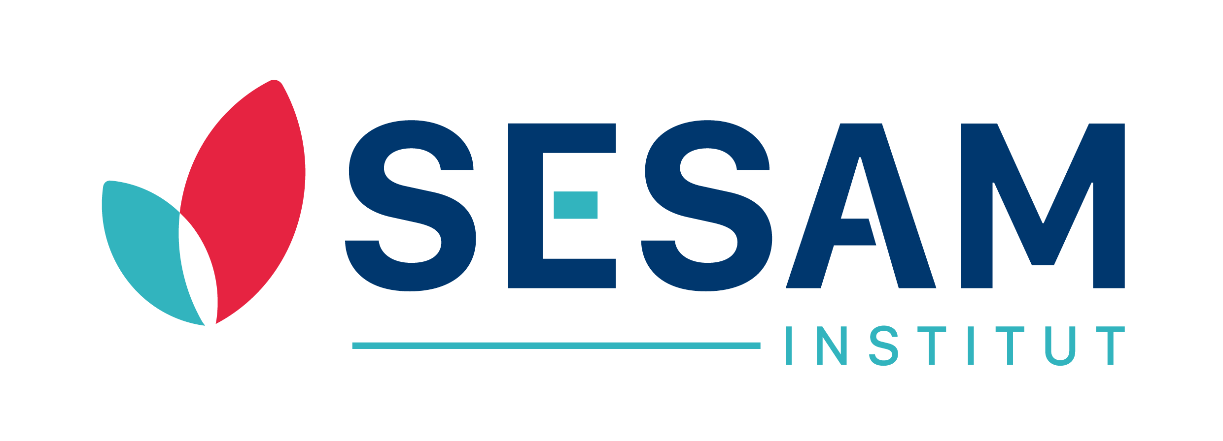 Logo Sesam Institut